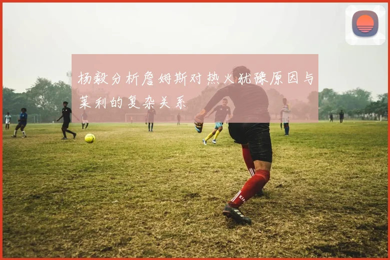 杨毅分析詹姆斯对热火犹豫原因与莱利的复杂关系